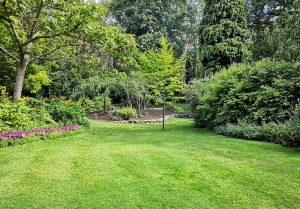 Optimiser l'expérience du jardin à Le Perchay